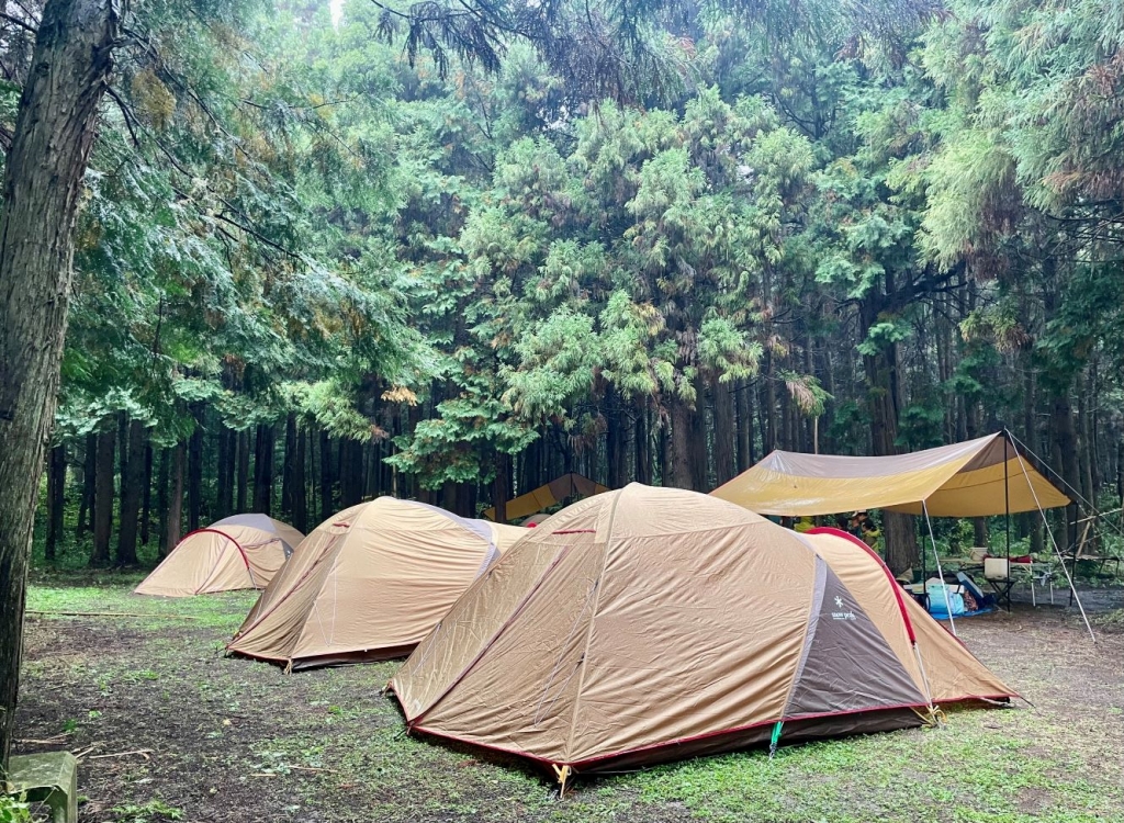 2025.11.8-9　　歓迎班キャンプを開きます。